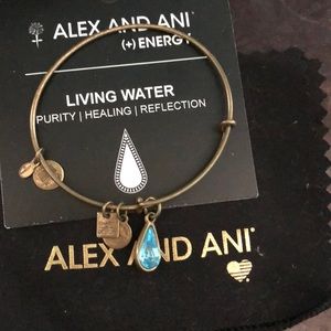 Alex and Ani Living Water Bracelet